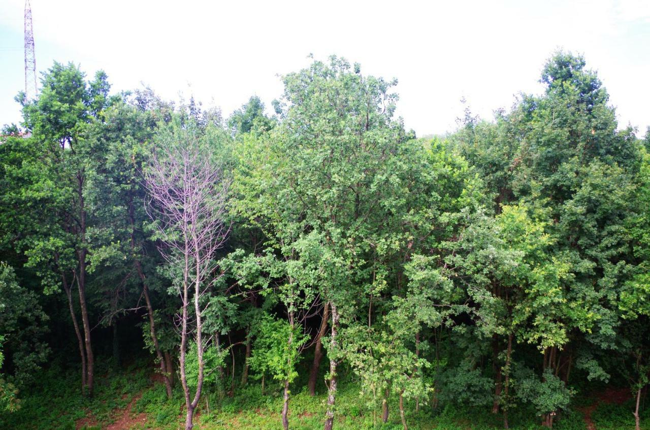 Apartment Astrea *